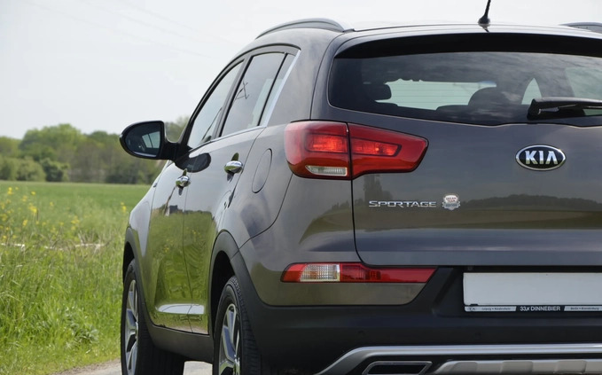 Kia Sportage cena 62500 przebieg: 89801, rok produkcji 2015 z Sompolno małe 781